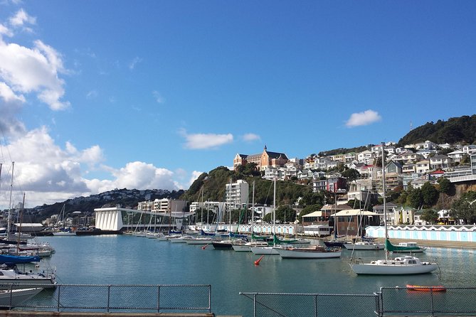 Private Wellington Full Day Sightseeing Tour - The cable car is a classic ride with modest views