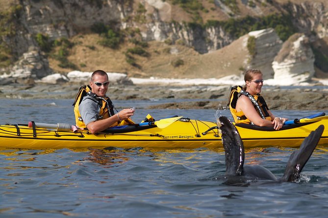 Private Wildlife Kayaking Tour - Kaikoura - Why Kaikoura is such a good place for a kayak trip