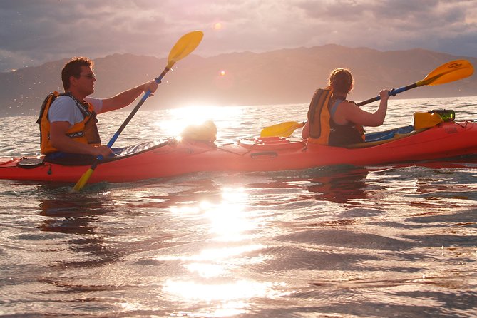 Private Wildlife Kayaking Tour - Kaikoura - Meeting at 17 Killarney Street
