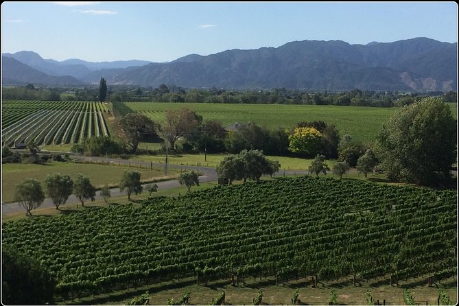 Private Wine Gourmet and Scenic Delights Tour from Picton - Key points to know before booking