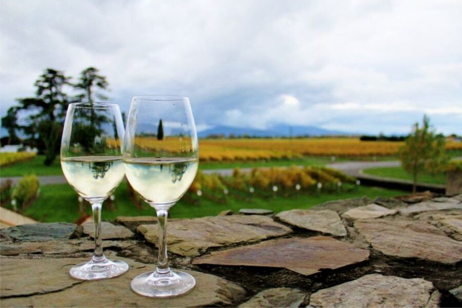 Progressive Wine & Gourmet Trail from Blenheim or Picton - Key points to know before booking