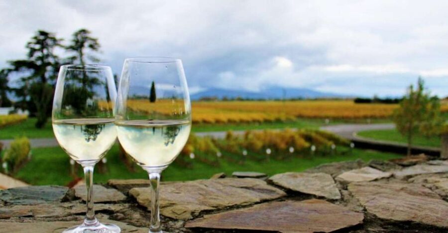 Progressive Wine & Gourmet Trail from Blenheim or Picton - The first glass sets the tone