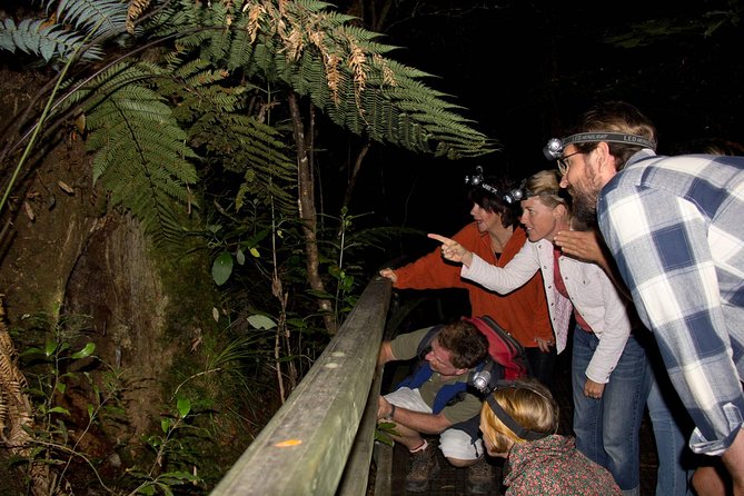 Puketi Rainforest Guided Walks .This is not a Shore Excursion product . - Key points to know before booking