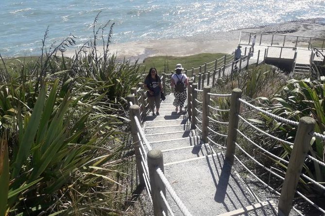 Punakaiki Blow Holes & Pancake Rocks Scenic Tour - The scenic 45-minute ride along the West Coast