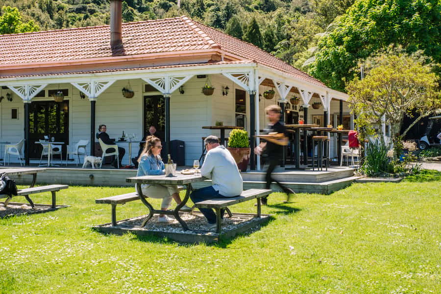 Queen Charlotte Sound Cruise with Lunch - Who will enjoy this outing most