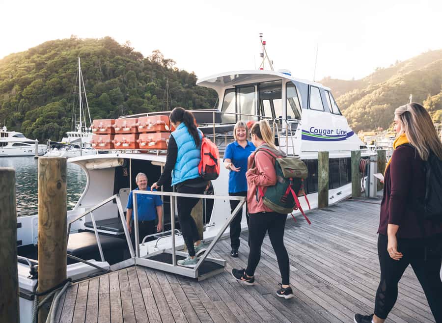 Queen Charlotte Sound Cruise with Lunch - Practical booking advice for a smoother day