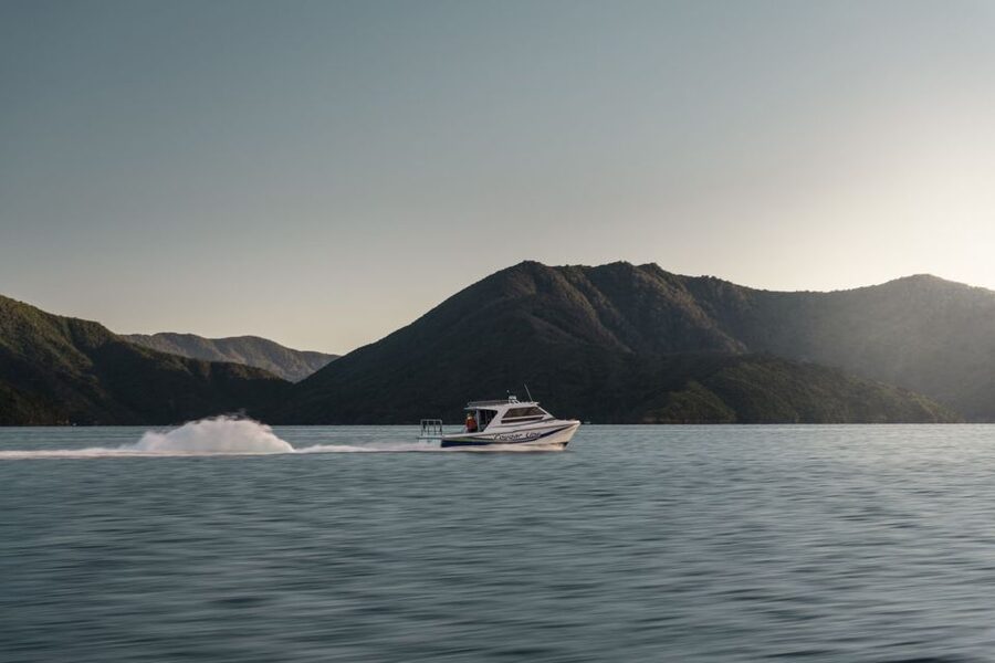 Queen Charlotte Sound Cruise with Lunch - Should you book the Queen Charlotte Sound cruise?