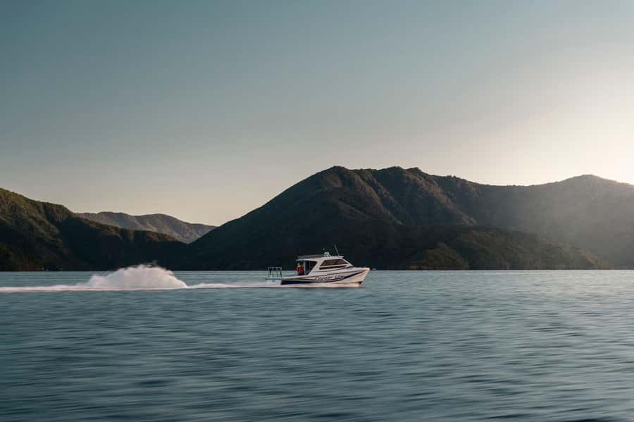 Queen Charlotte Sound Cruise with Lunch - Checking in at Picton with enough time