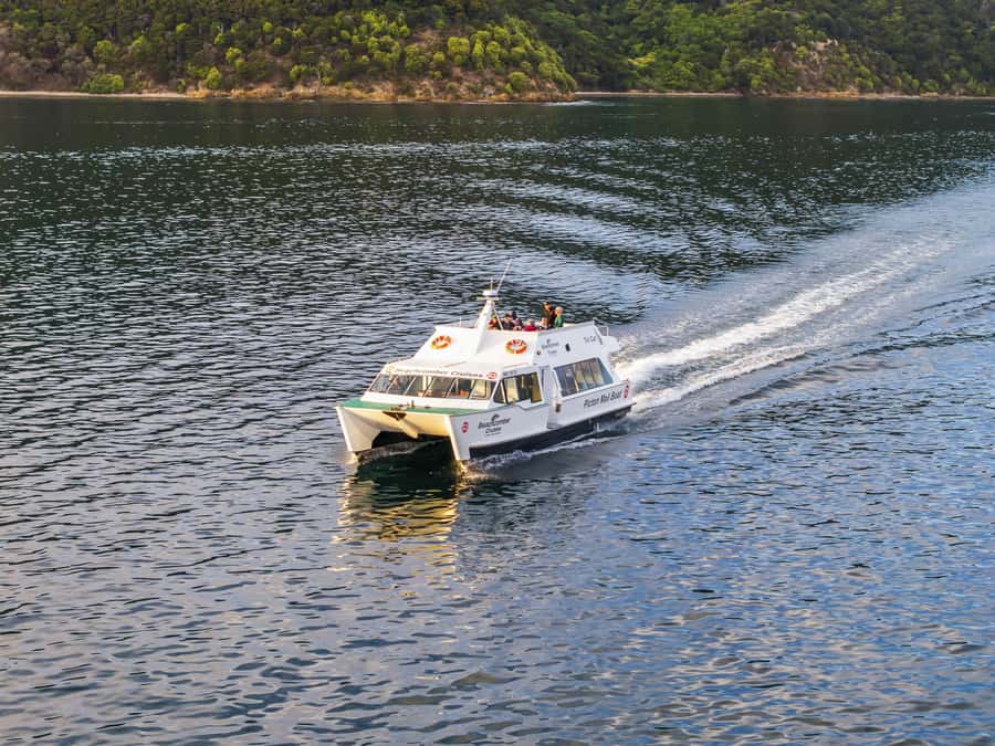 Queen Charlotte Sound Mail Boat Cruise from Picton - Price, comfort, and the value of the working experience