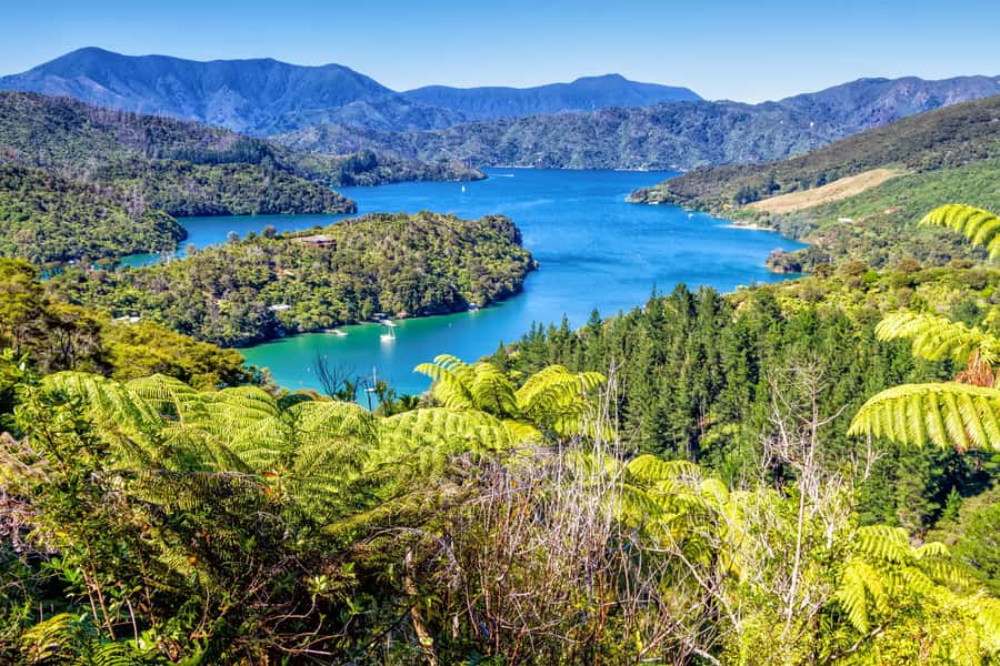 Queen Charlotte Track: Cruise & Self-Guided Hike from Picton - Historic Ship Cove and the start of the longer walk