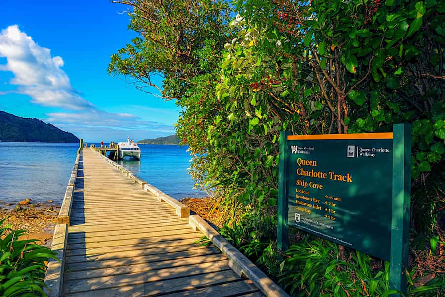 Queen Charlotte Track: Cruise & Self-Guided Hike from Picton - What the Queen Charlotte Track feels like underfoot