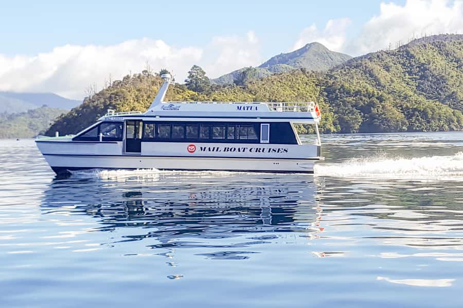 Queen Charlotte Track: Cruise & Self-Guided Hike from Picton - Fitness, clothing, and who should choose each route