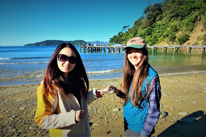 Queen Charlotte Track - Ultimate one Day Walk and Cruise - What to pack and how to prepare