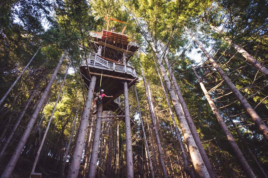 Queenstown: 1-Hour Zipline Tour with 2-Lines & 21-Meter Drop - How much value do you get for $71?