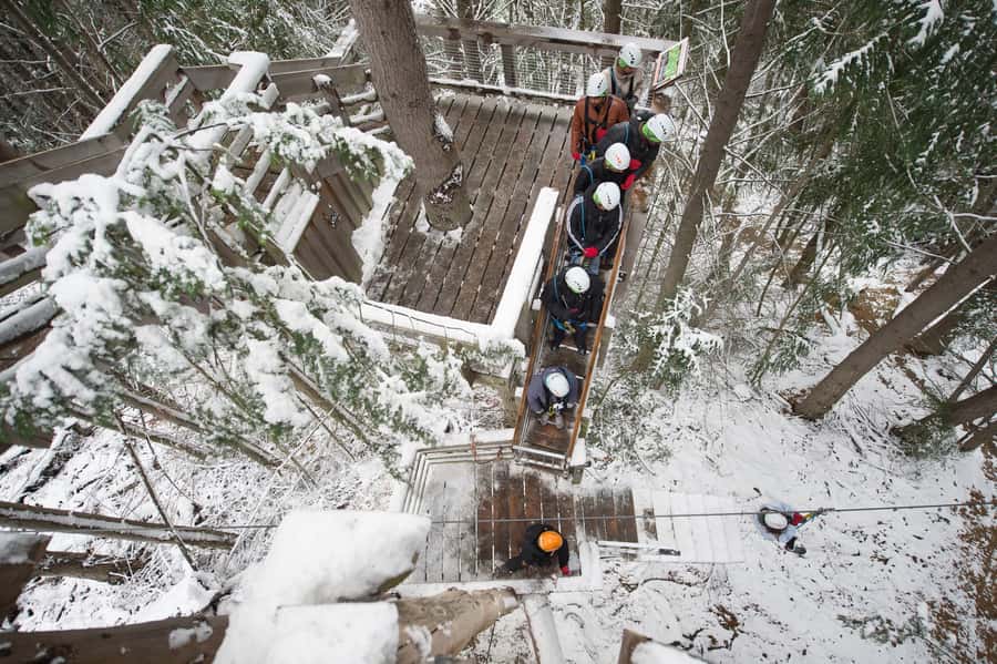 Queenstown: 2-Hour Zipline Tour with 4-Lines - The forest walk and physical effort