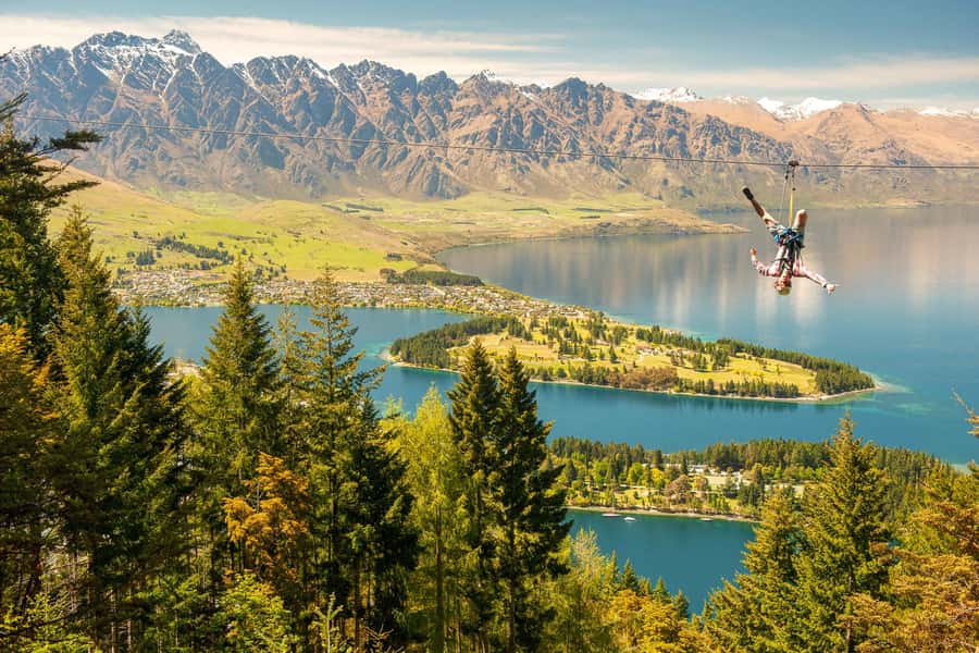 Queenstown: 3-Hour Zipline Adventure with 6-Lines - Lake Wakatipu views between the trees