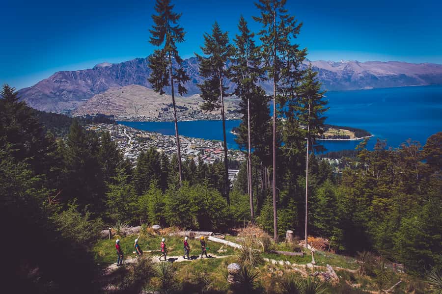 Queenstown: 3-Hour Zipline Adventure with 6-Lines - How the $124 price measures up