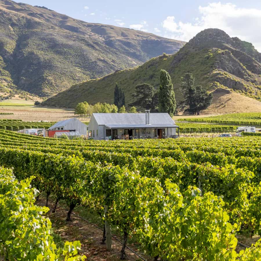 Queenstown, Arrowtown, Gibbston: Flexible Wine Hopper Tours - Key points at a glance