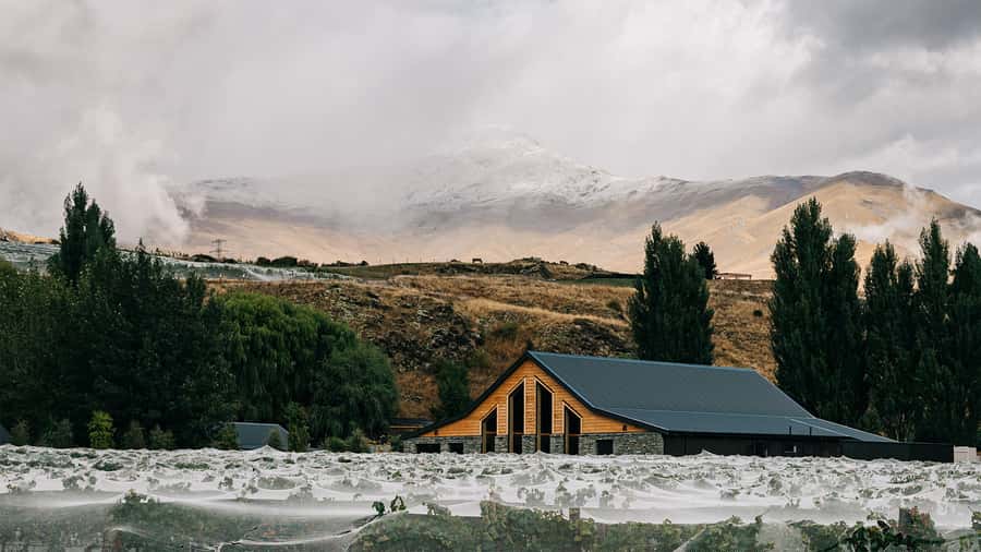 Queenstown: Classic Central Otago Wine Tasting Experience - At the Kinross Cellar Door