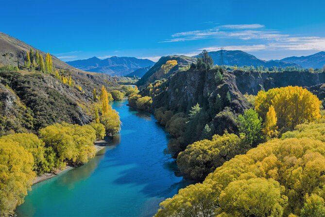 Queenstown Classic Wine Tour: 3 Winery Visits, Cave Tour & Cheese - What the tastings are really worth