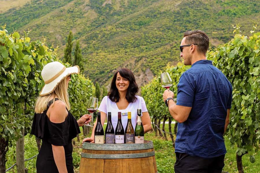 Queenstown: Classic Wine Tour - What happens at each winery