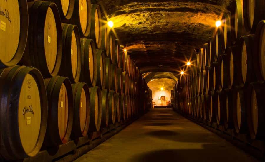 Queenstown: Classic Wine Tour - Who will enjoy this tour most?
