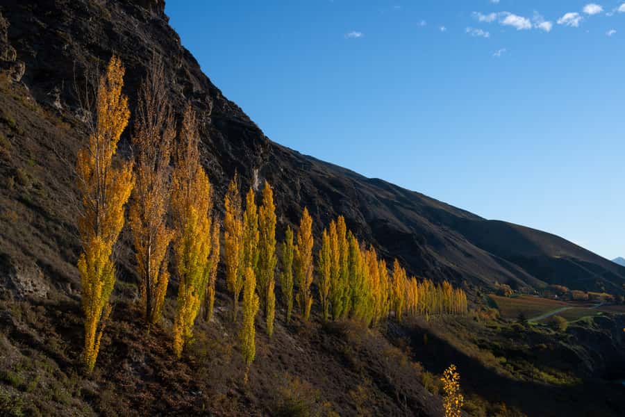 Queenstown: Craft Beer Brewery Tour with Lunch - The traditional village stop adds breathing room