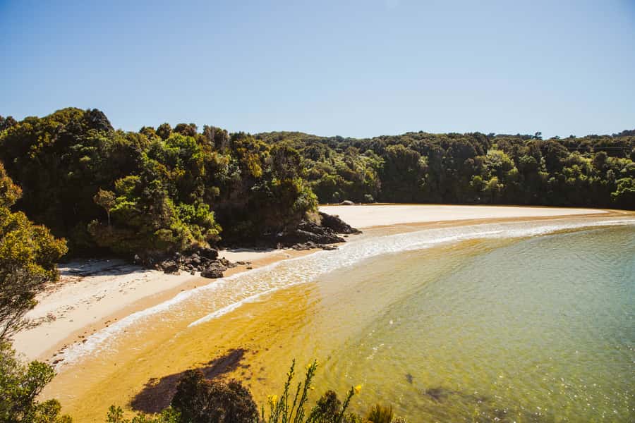 Queenstown: Day Trip to Stewart Island via Scenic Flight - Weather, timing, and practical limits