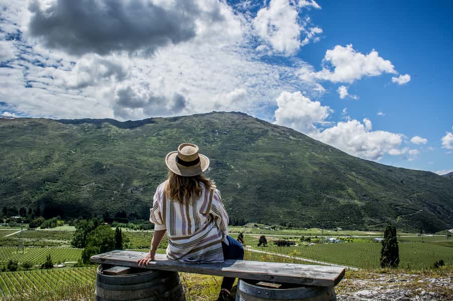Queenstown & Gibbston Valley: Hop-On Hop-Off Wine Tours - Gibbston Valley packs in the wine stops