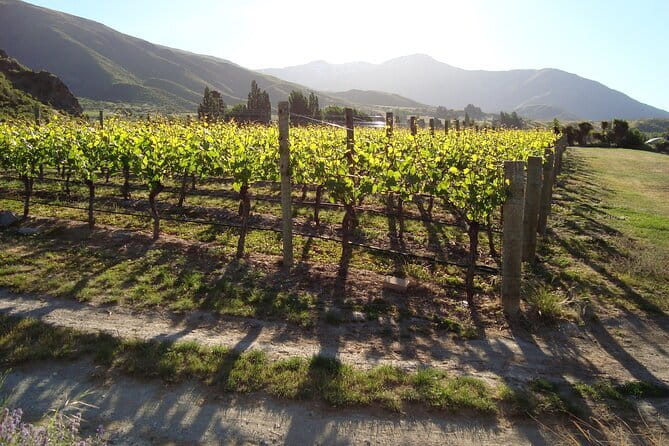 Queenstown Gin and Whiskey tours - Who will enjoy the six-hour format