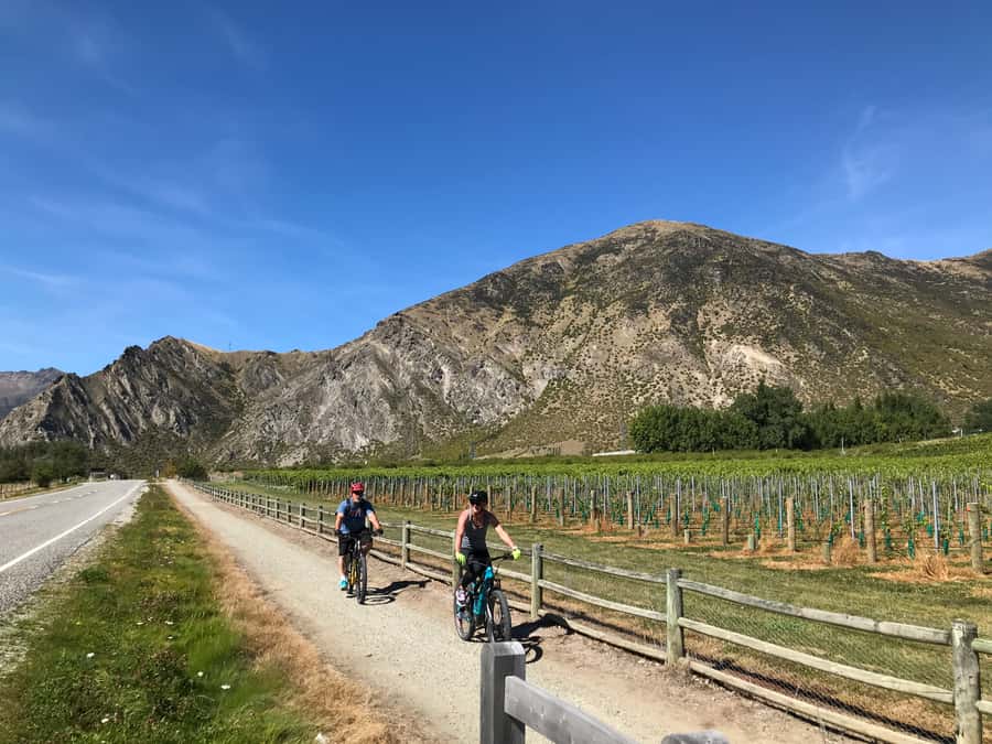 Queenstown: Guided E-Bike Tour with Winery Visits & Tastings - Who should book it