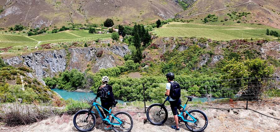 Queenstown: Guided E-Bike Tour with Winery Visits & Tastings - Why this six-hour ride works so well