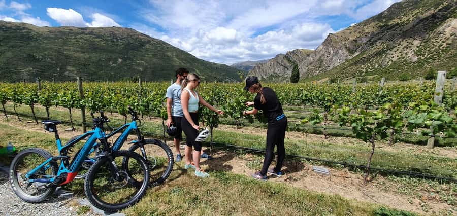 Queenstown: Guided E-Bike Tour with Winery Visits & Tastings - Easy gravel riding beside two rivers