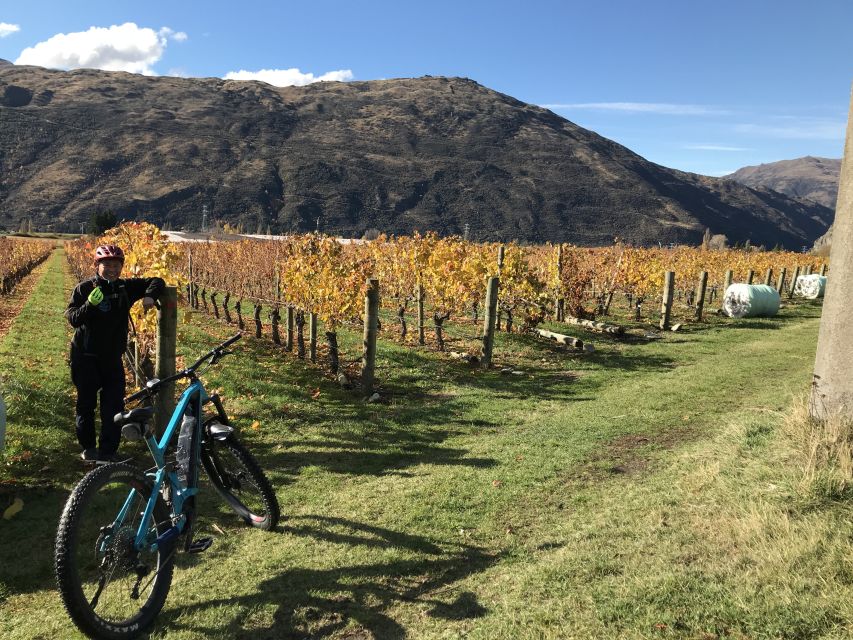 Queenstown: Guided E-Bike Tour with Winery Visits & Tastings - Kawarau Bridge and its adventure legacy