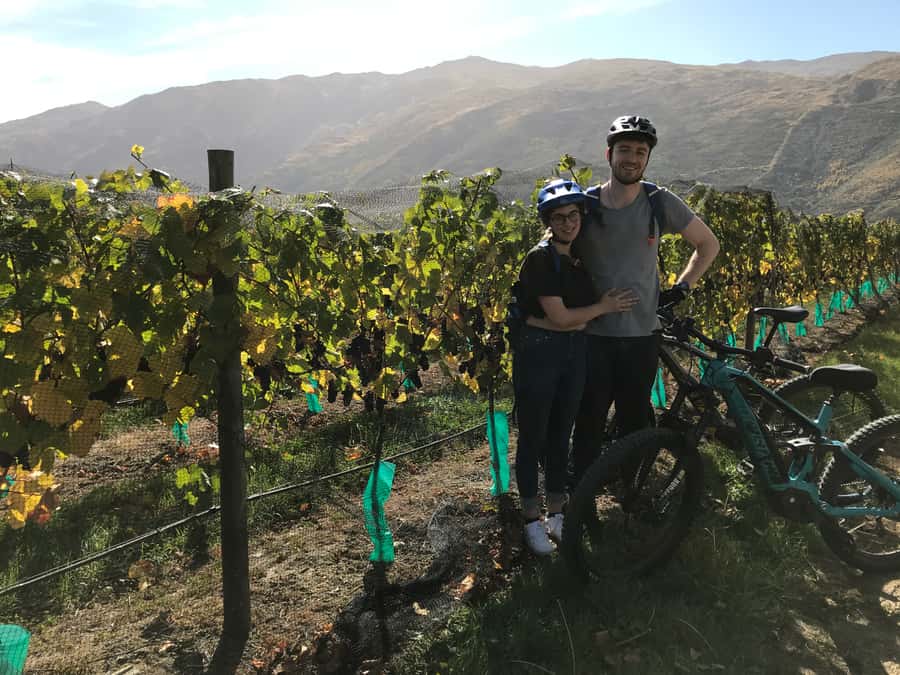 Queenstown: Guided E-Bike Tour with Winery Visits & Tastings - What the $194 price includes