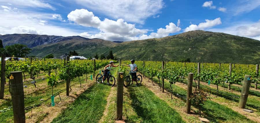 Queenstown: Guided E-Bike Tour with Winery Visits & Tastings - From Frankton to Arrowtown