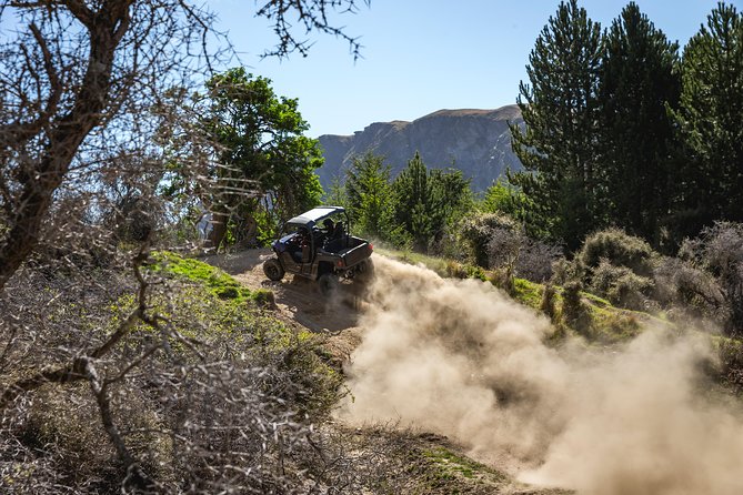 Queenstown Guided Self-Drive Buggy Tour - Safety, licences, and the important financial catch