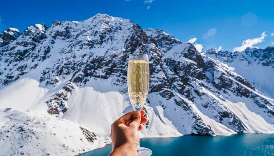 Queenstown: Helicopter & Wine Tasting Tour - Who should book this Queenstown wine tour?