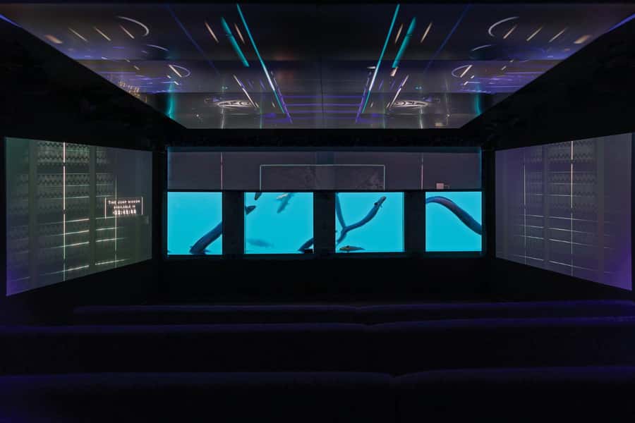 Queenstown: Hidden Underwater Theatre Experience - Key points to know before you go