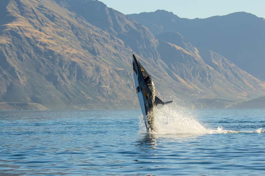 Queenstown: Hydro Attack Shark Ride - What the Hydro Attack shark actually feels like
