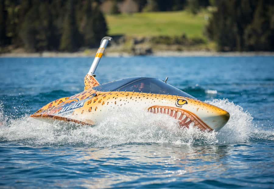 Queenstown: Hydro Attack Shark Ride - From Steamer Wharf to the cockpit