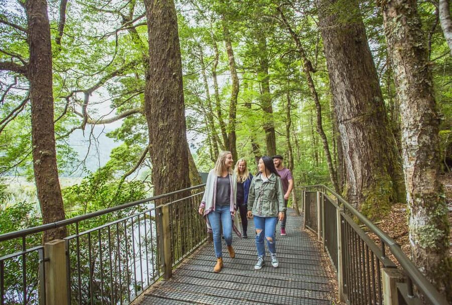 Queenstown: Milford Sound Coach & Cruise Full-Day Trip - Te Anau and the Long Road Into Fiordland