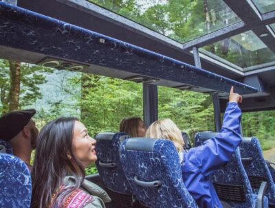 Milford Sound Coach & Cruise Full-Day Trip