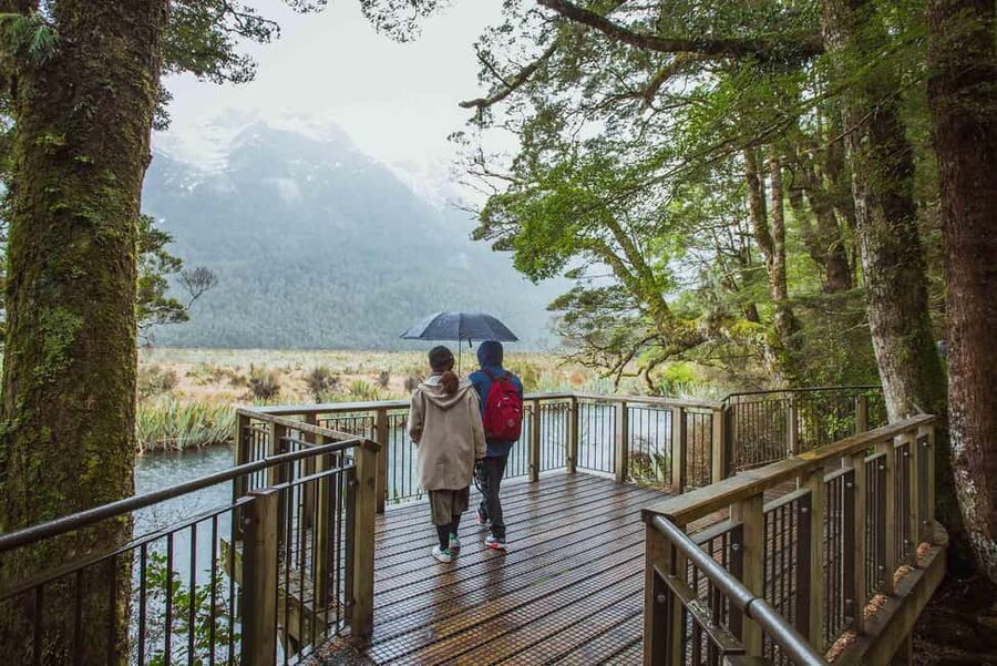 Queenstown: Milford Sound Coach & Cruise Full-Day Trip - Who Should Book This Tour?