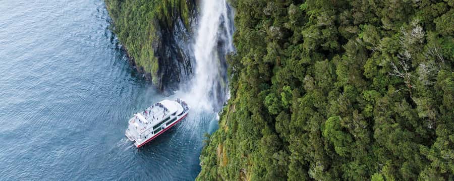 Queenstown: Milford Sound Cruise & Helicopter Alpine Tour - Landing near Milford Sound and joining the cruise