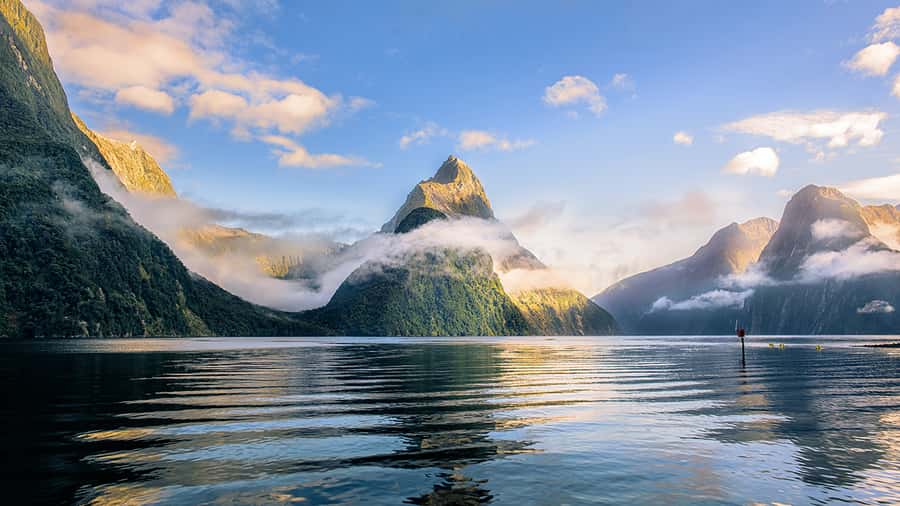 Queenstown: Milford Sound Small-Group Tour w Cruise & Lunch - Lake Gunn, Hollyford River, and the search for kea