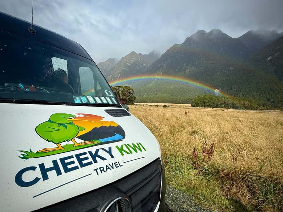 Queenstown: Milford Sound Small-Group Tour w Cruise & Lunch - What makes the small-group format worth $208
