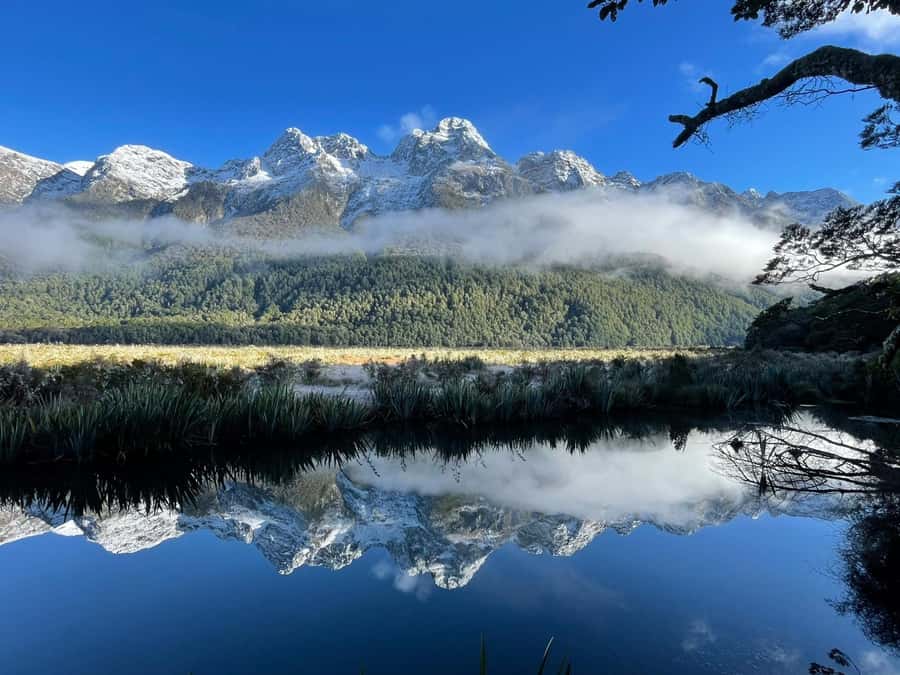 Queenstown: Milford Sound Small-Group Tour w Cruise & Lunch - Practical planning for families and changing weather