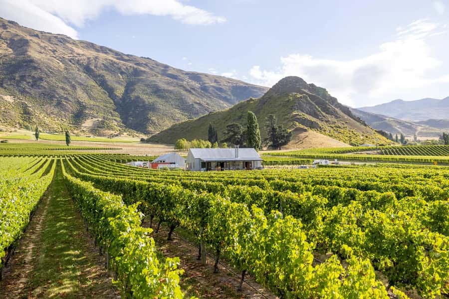 Queenstown: Original Premium Half-Day Gibbston Wine Tour - The lunch stop is useful, but not included