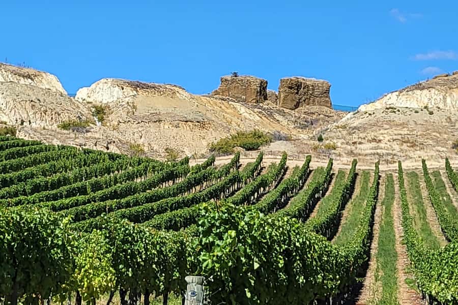 Queenstown: Premium Full-Day Central Otago Wine Tasting Tour - Bannockburn gives the day its final tasting